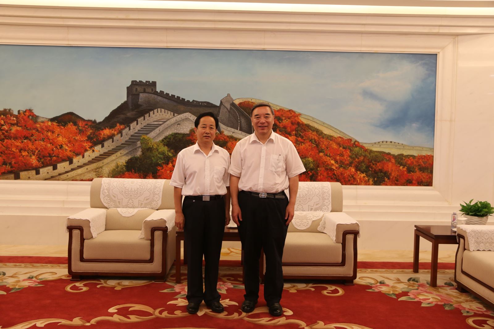 6686���� - ��ͨ�ײ�ȫ������������������