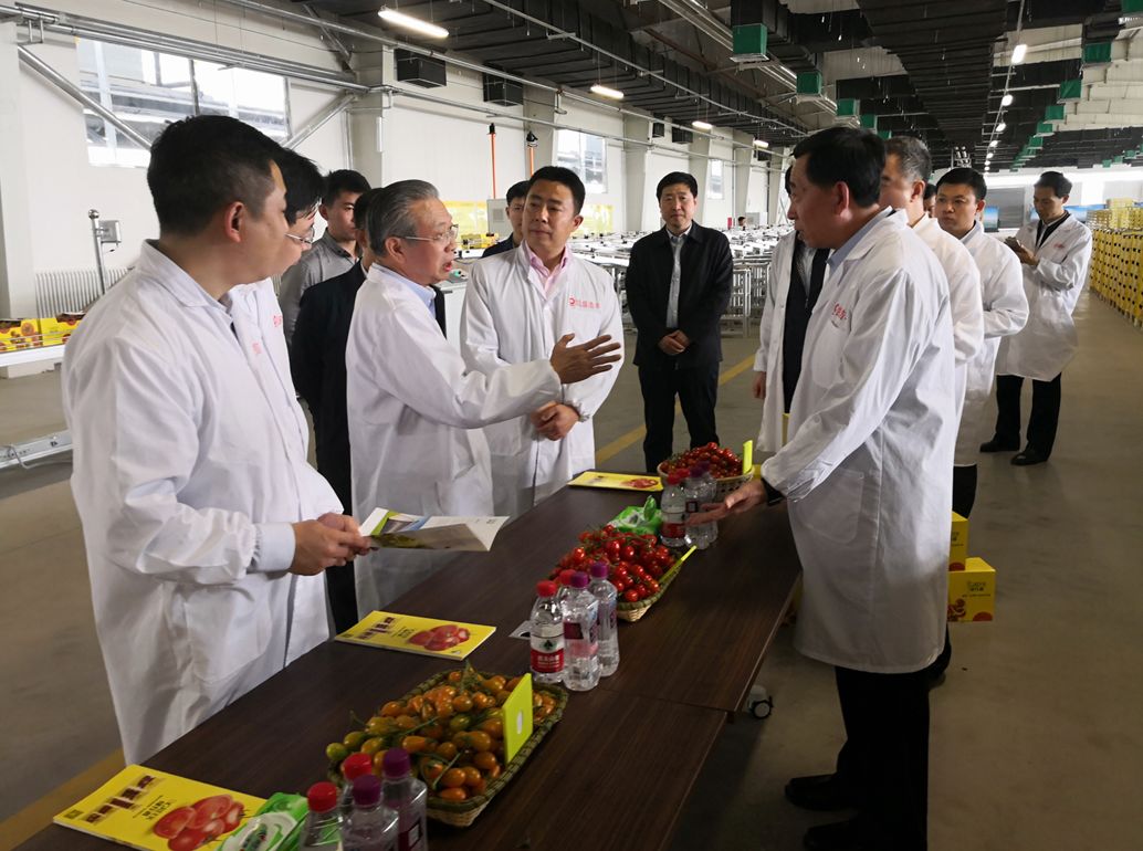 6686���� - ��ͨ�ײ�ȫ������������������