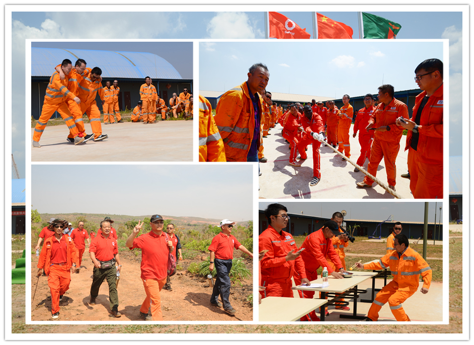 6686���� - ��ͨ�ײ�ȫ������������������