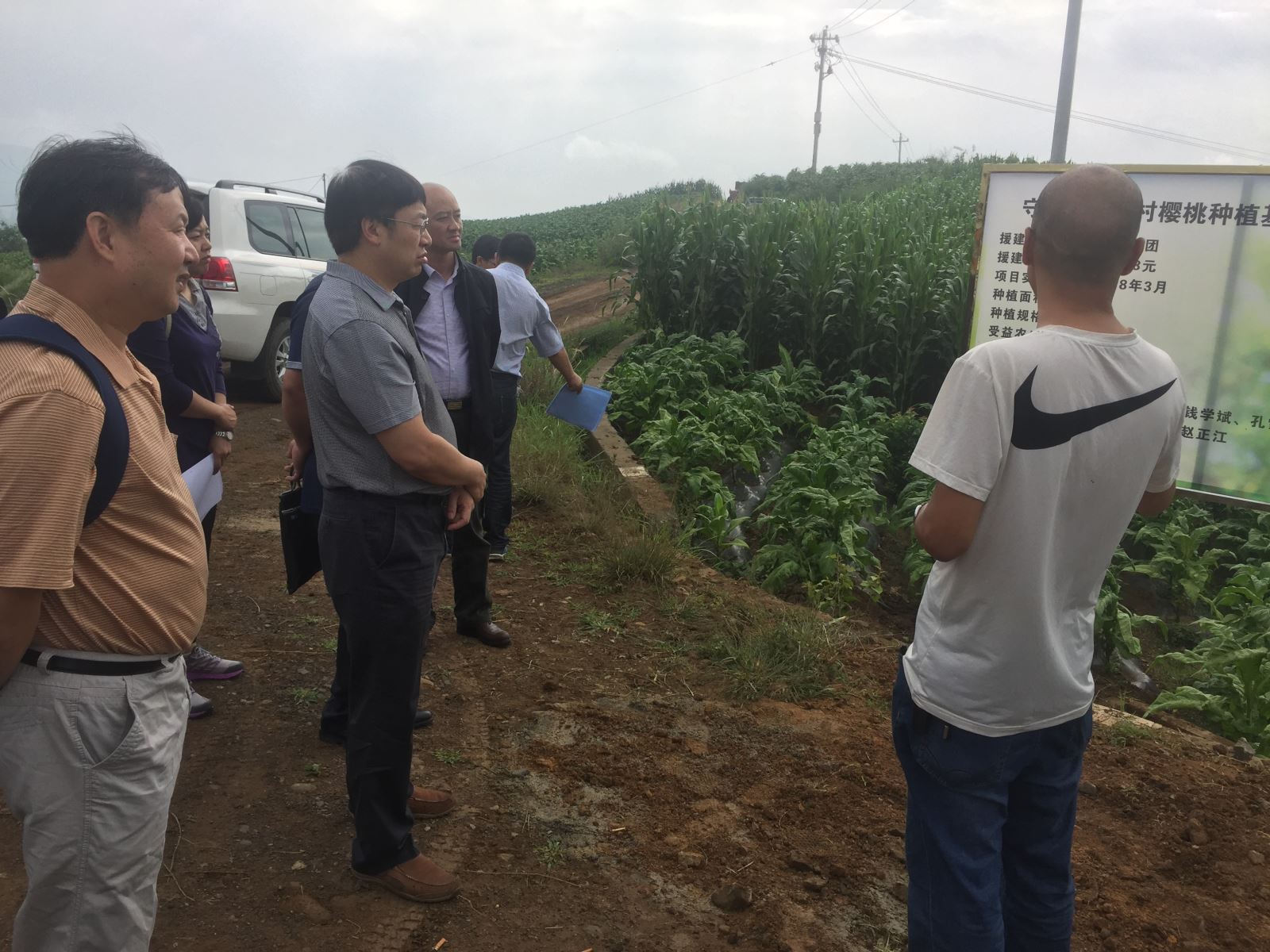 6686���� - ��ͨ�ײ�ȫ������������������