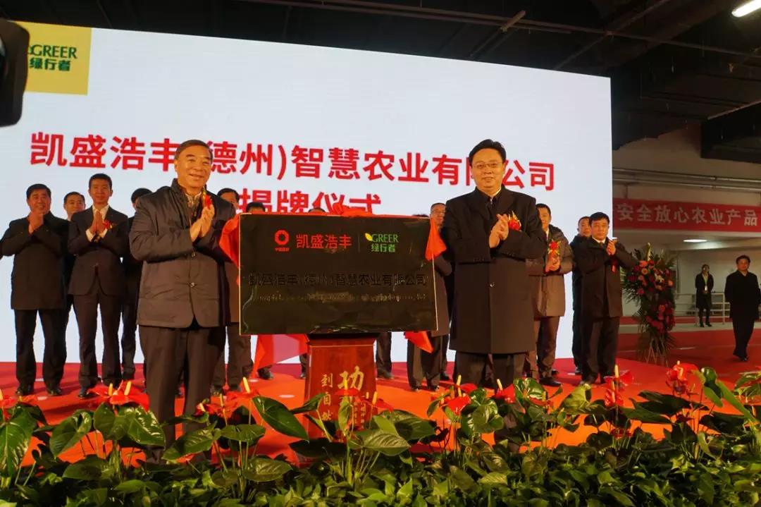 6686���� - ��ͨ�ײ�ȫ������������������