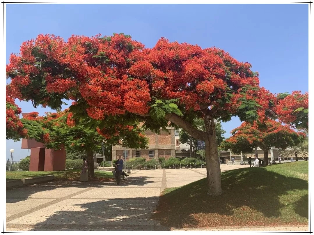 6686���� - ��ͨ�ײ�ȫ������������������