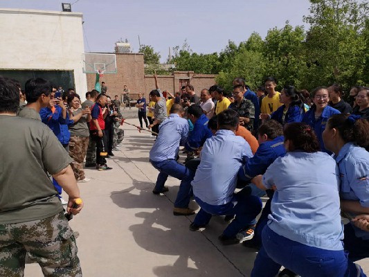 6686���� - ��ͨ�ײ�ȫ������������������