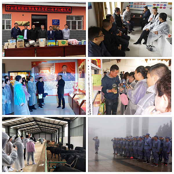 6686���� - ��ͨ�ײ�ȫ������������������