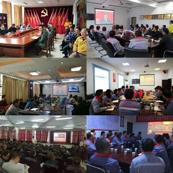 6686���� - ��ͨ�ײ�ȫ������������������