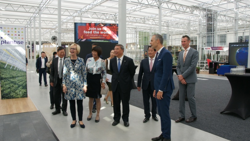 6686���� - ��ͨ�ײ�ȫ������������������