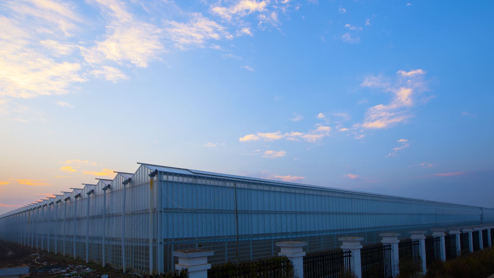 6686体育 - 流通首播全球篮球足球热门赛事