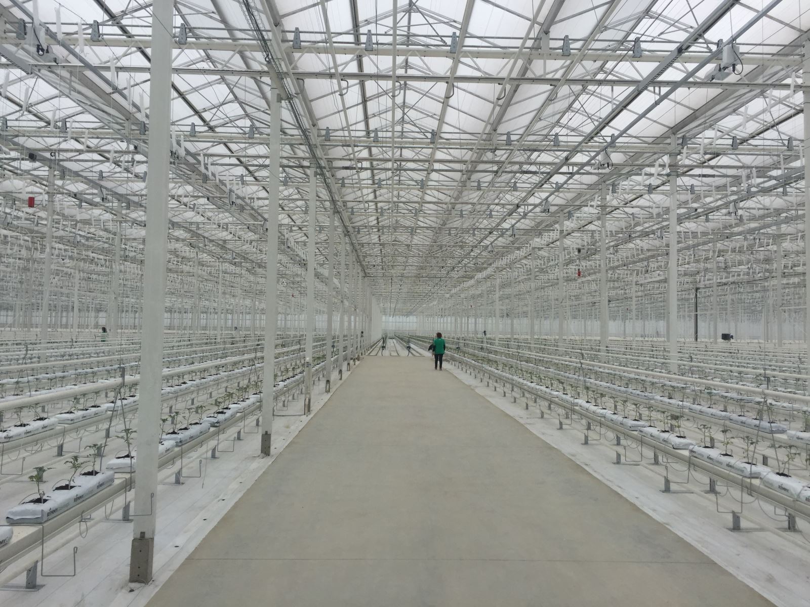 6686体育 - 流通首播全球篮球足球热门赛事