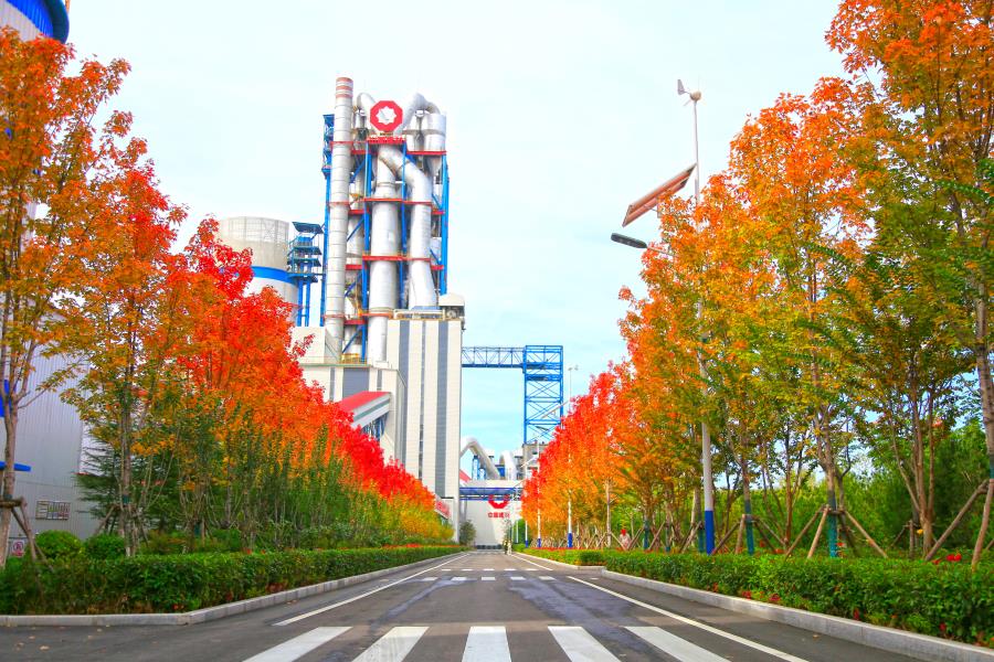 6686���� - ��ͨ�ײ�ȫ������������������