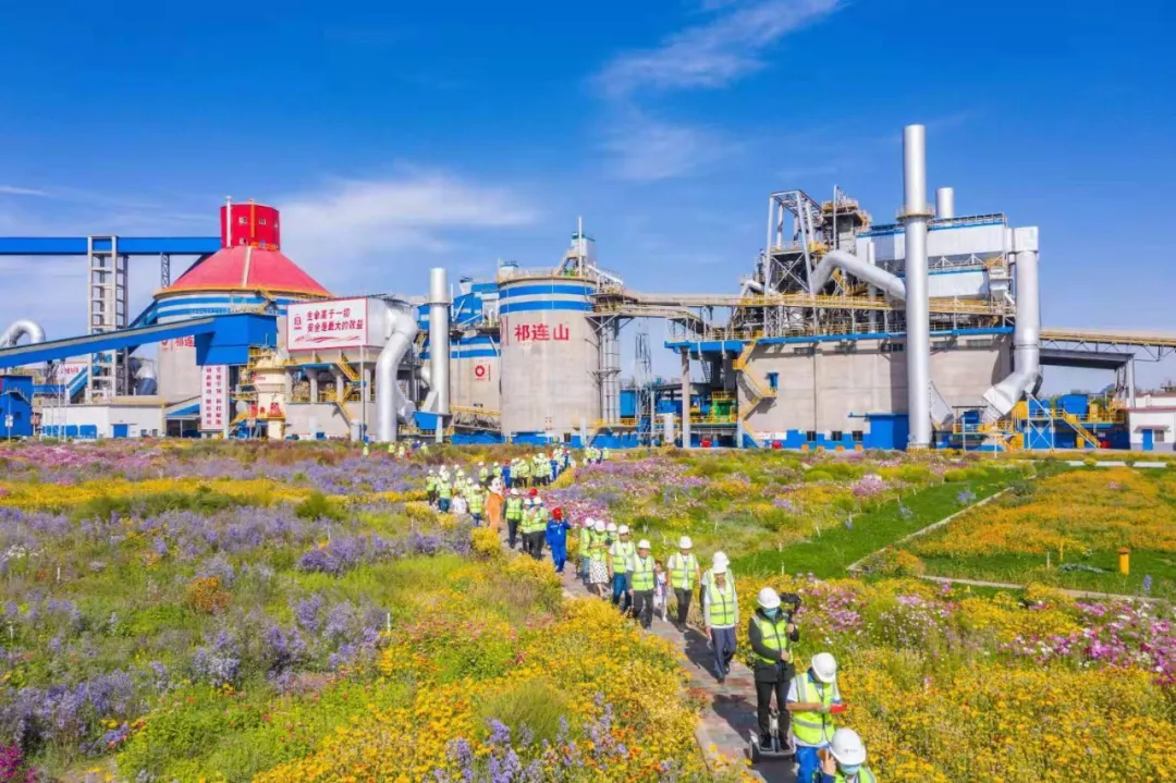 �߽���������Դ�ա�������ҵ����������������6686���� - ��ͨ�ײ�ȫ�����������������»��������򿨰ɣ�