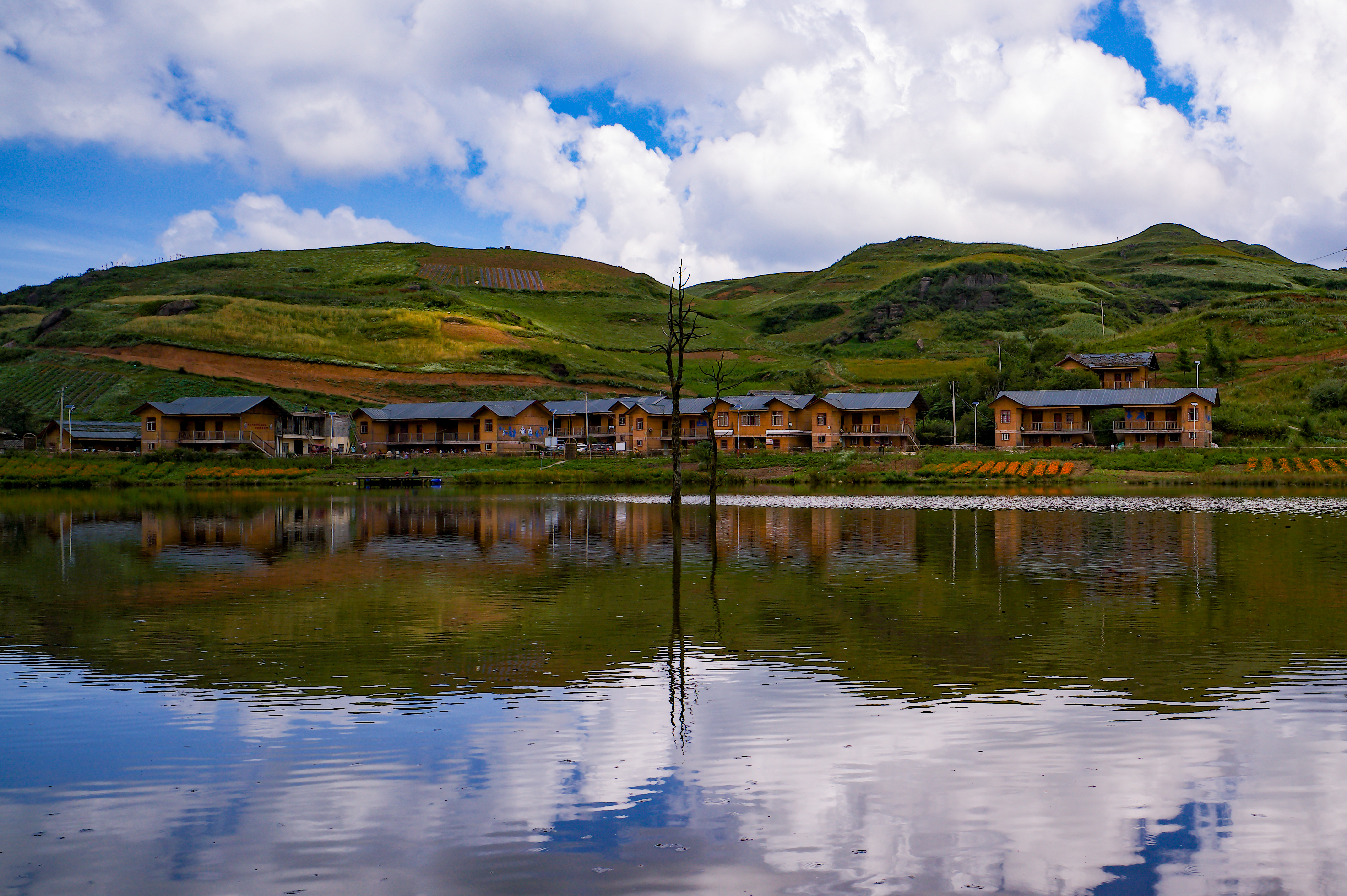 6686���� - ��ͨ�ײ�ȫ������������������