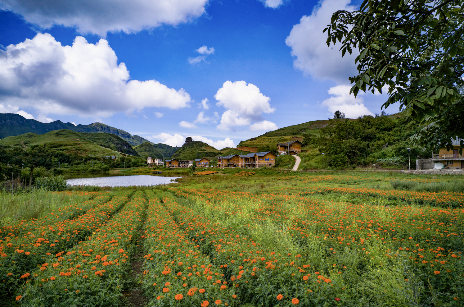 6686���� - ��ͨ�ײ�ȫ������������������