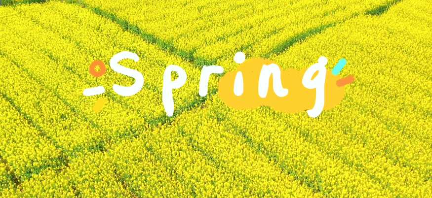 ��������ȥ�����Σ�