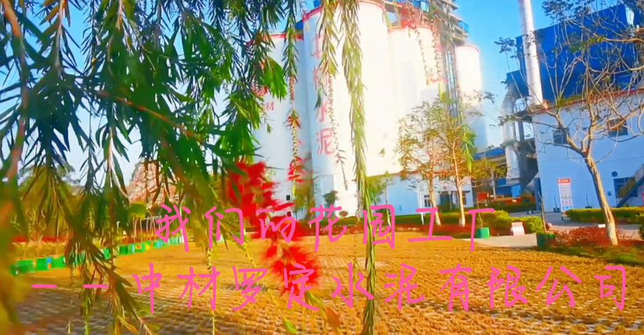 �в��޶�2022�괺����Ƶ�ز�