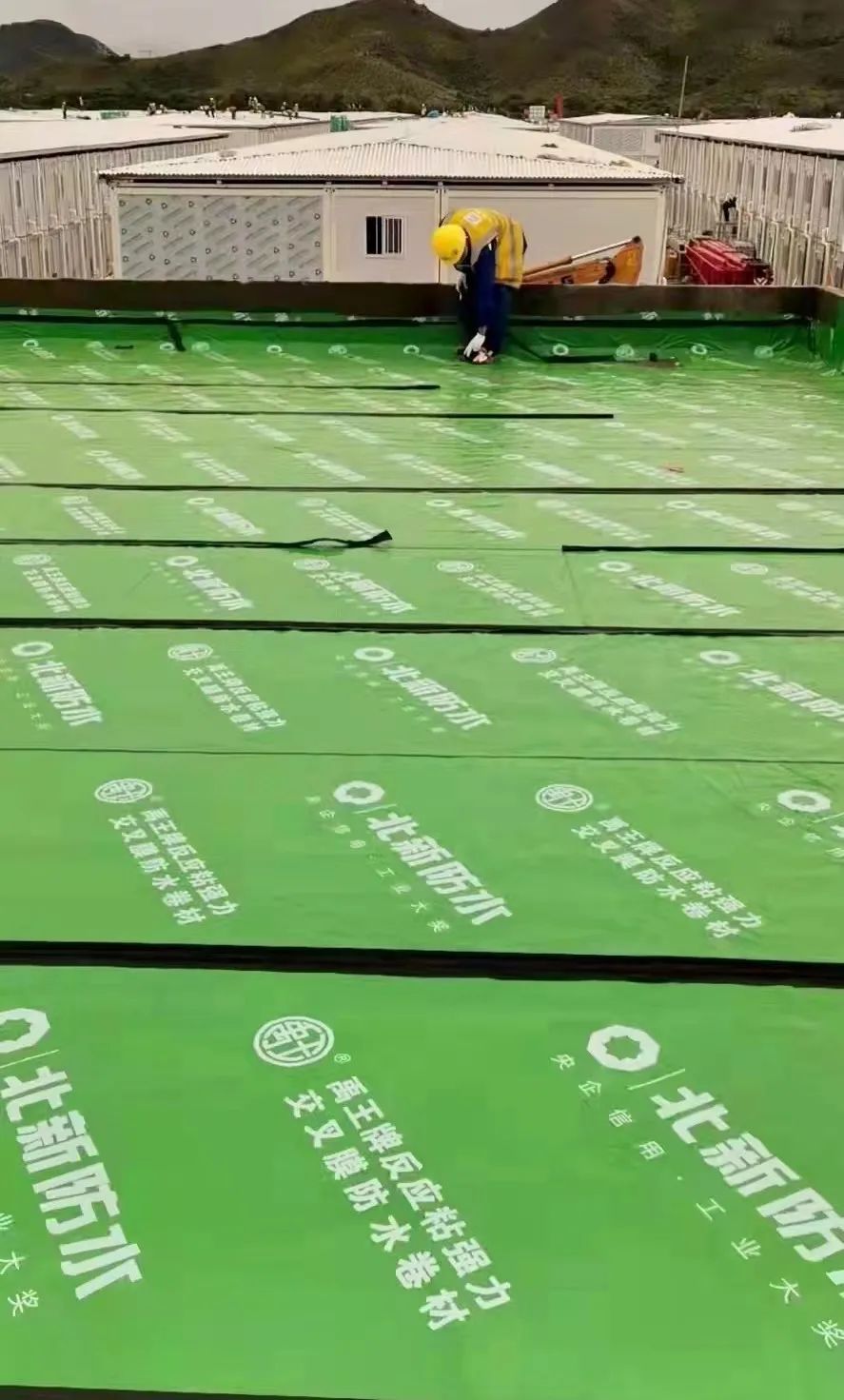 6686���� - ��ͨ�ײ�ȫ������������������