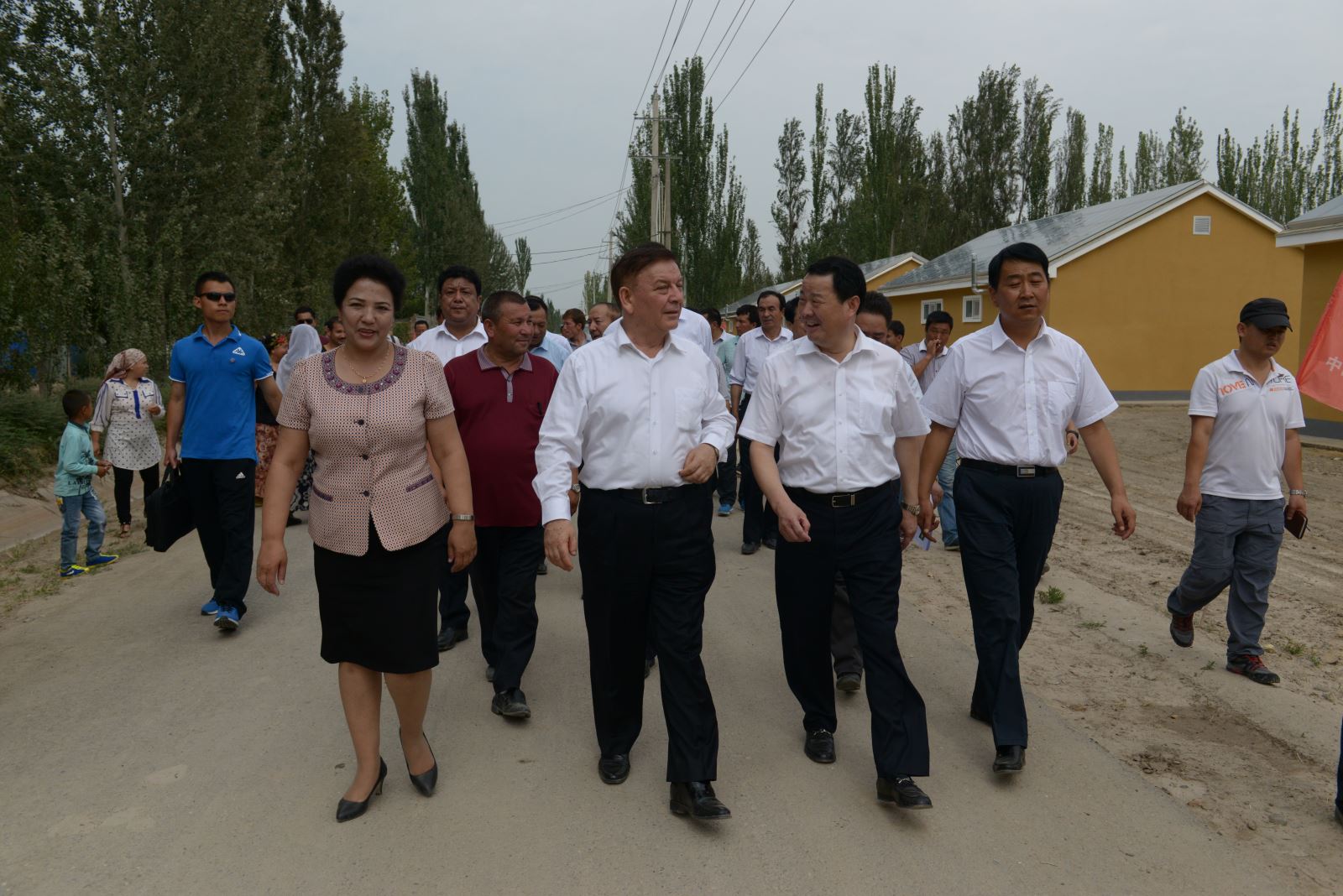 6686���� - ��ͨ�ײ�ȫ������������������