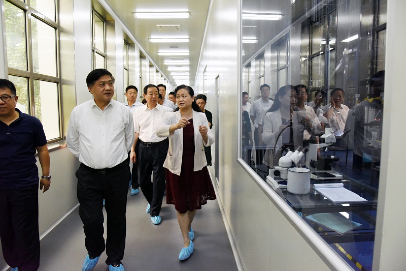 6686���� - ��ͨ�ײ�ȫ������������������