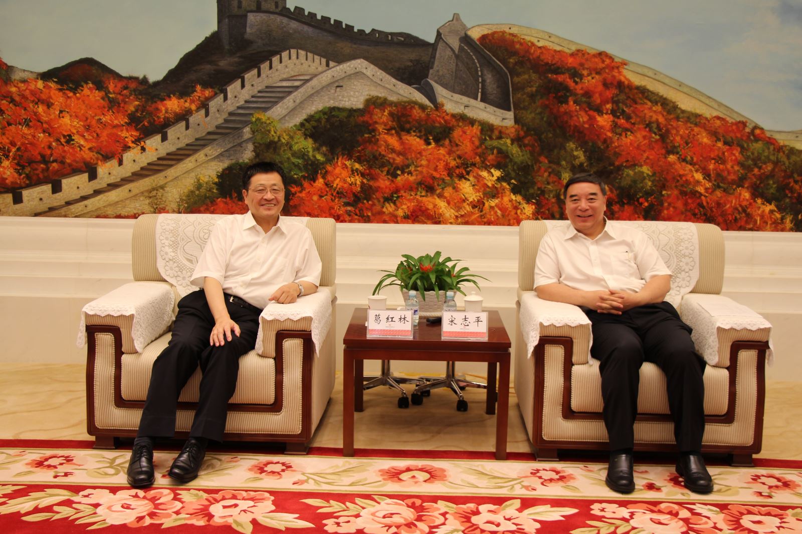 6686���� - ��ͨ�ײ�ȫ������������������