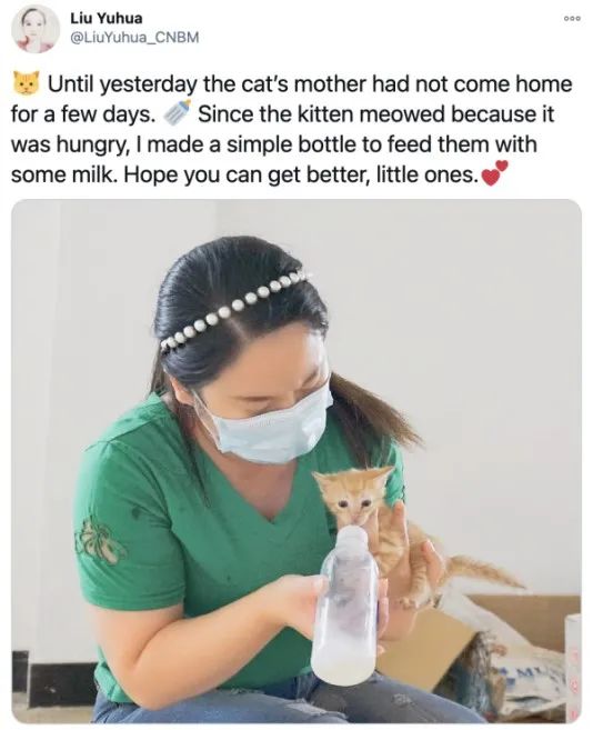 6686���� - ��ͨ�ײ�ȫ������������������