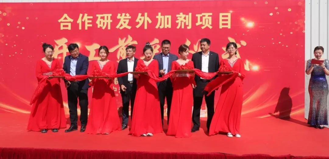 6686���� - ��ͨ�ײ�ȫ������������������