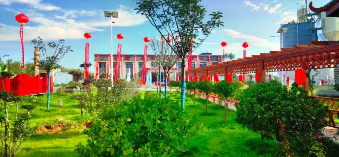 6686���� - ��ͨ�ײ�ȫ������������������