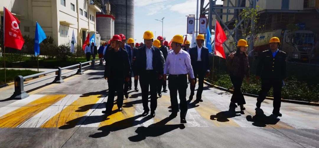 6686���� - ��ͨ�ײ�ȫ������������������