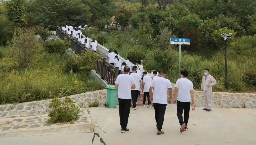 6686���� - ��ͨ�ײ�ȫ������������������